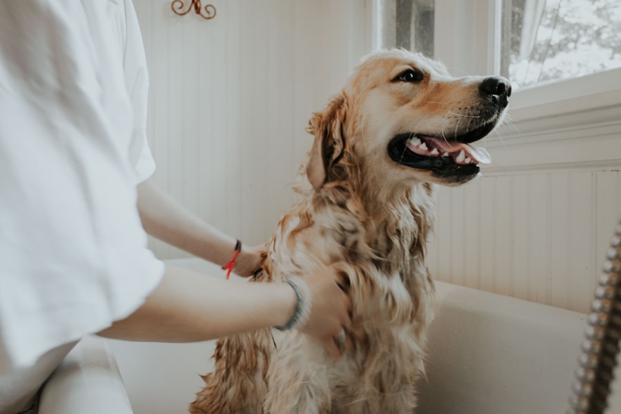 Peluquería canina de San Roque